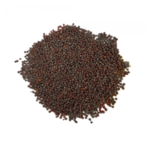 Black Mustard seeds