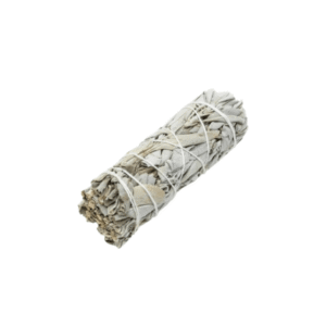 California White Sage