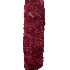 Dragon's blood sage