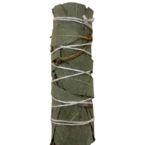 Eucalyptus smudge stick
