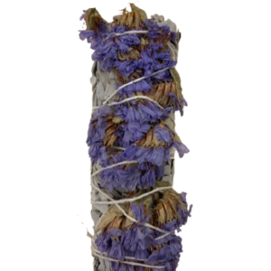 White Sage with Purple Sinuata Flowers